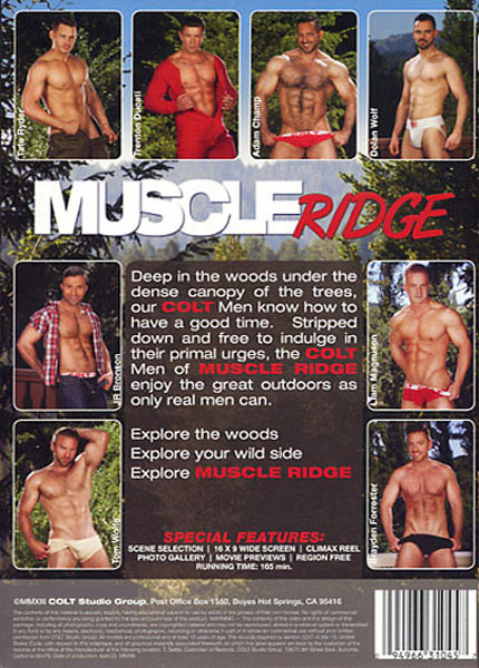 Muscle Ridge